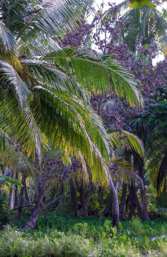 Silver County Hotel, Fuvahmulah - Maldives エクステリア 写真